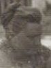 Łodyga Stanisława